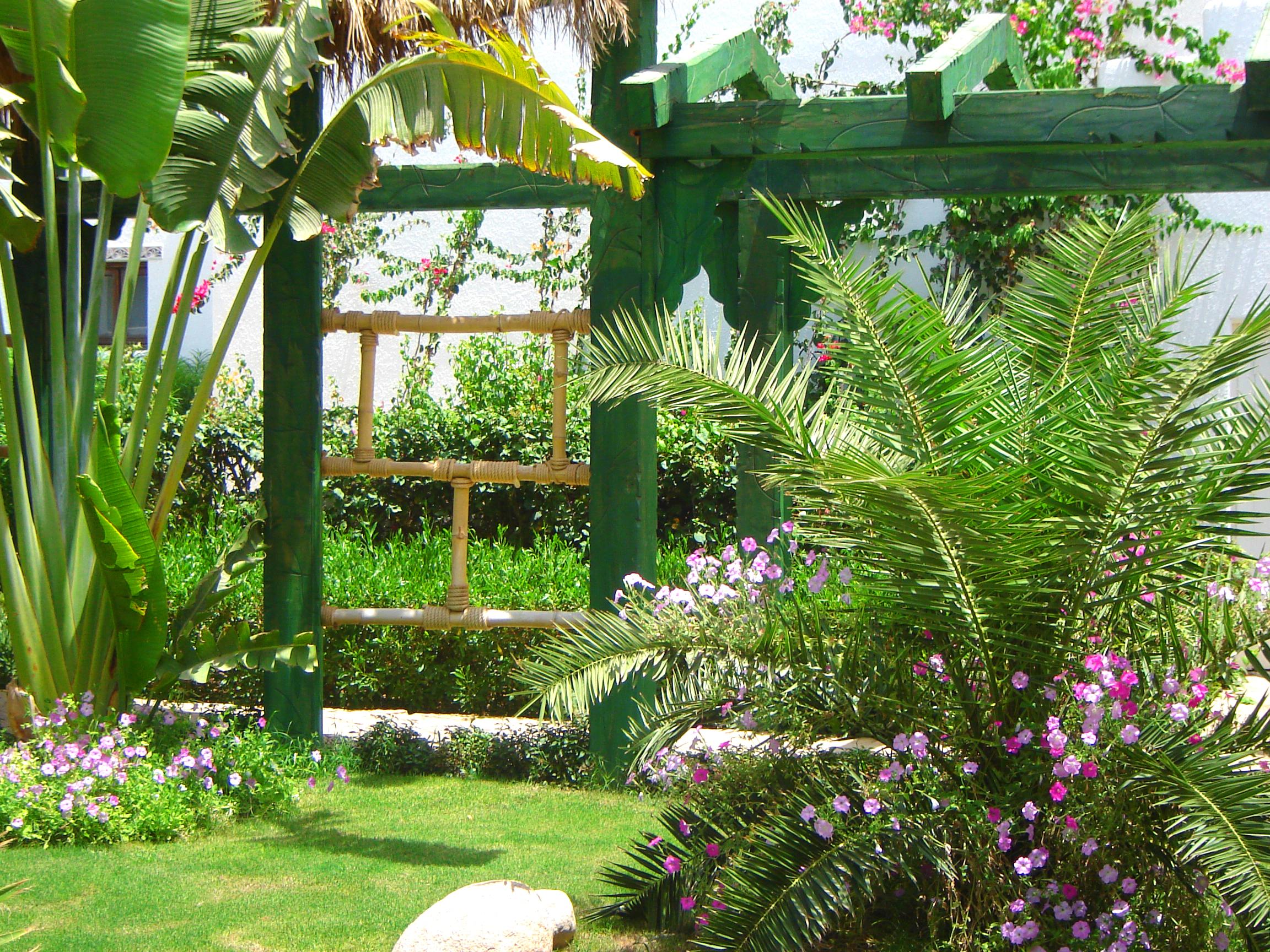 DELTA SHARM RESORT ,Official Web, DELTA RENT, Sharm El Sheikh, South Sinai, Egypt Exterior foto